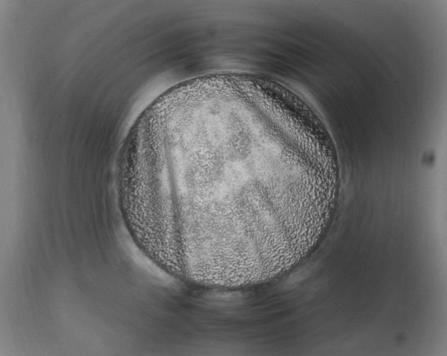 X0000112511243200909071301