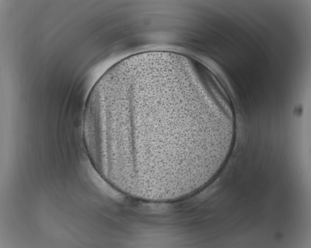 X0000112511244200909071301