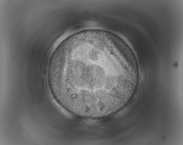 X0000112511245200909071301