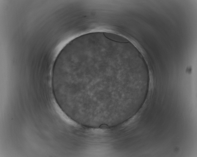 X0000112511246200909071301