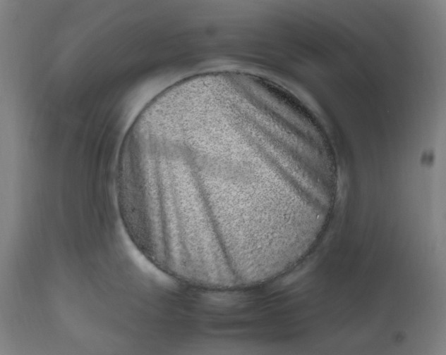 X0000112511247200909071301