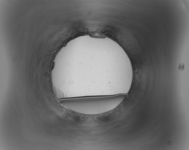 X0000112511249200909071300