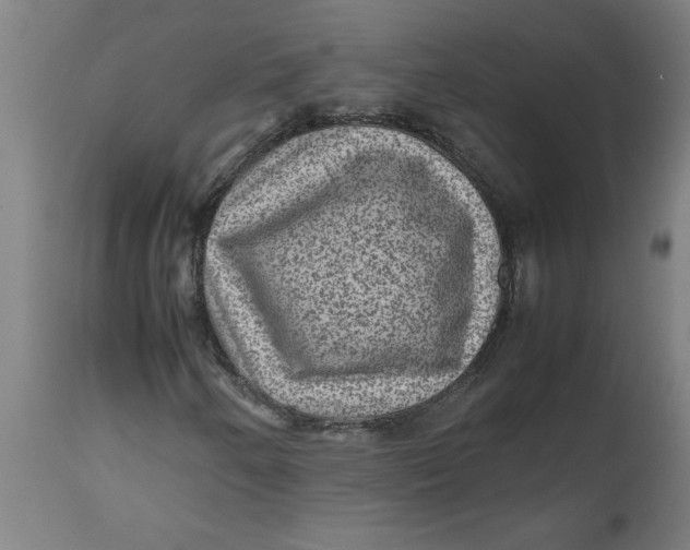 X0000112511250200909071300