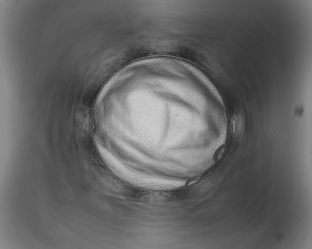 X0000112511251200909071300