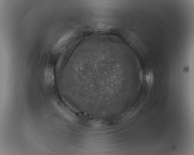 X0000112511252200909071300