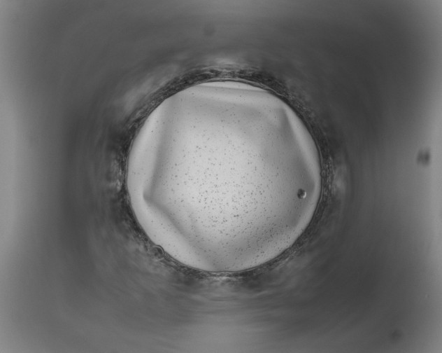 X0000112511253200909071300