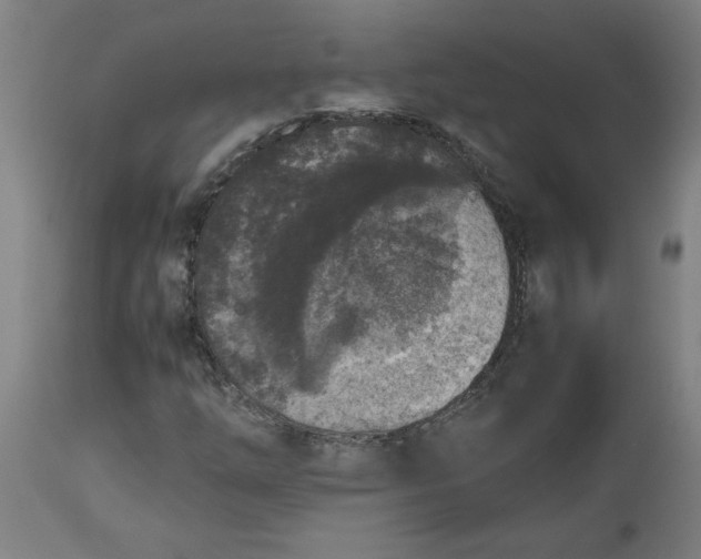 X0000112511254200909071300