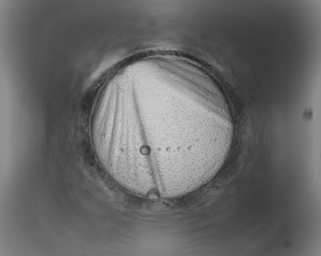 X0000112511255200909071300