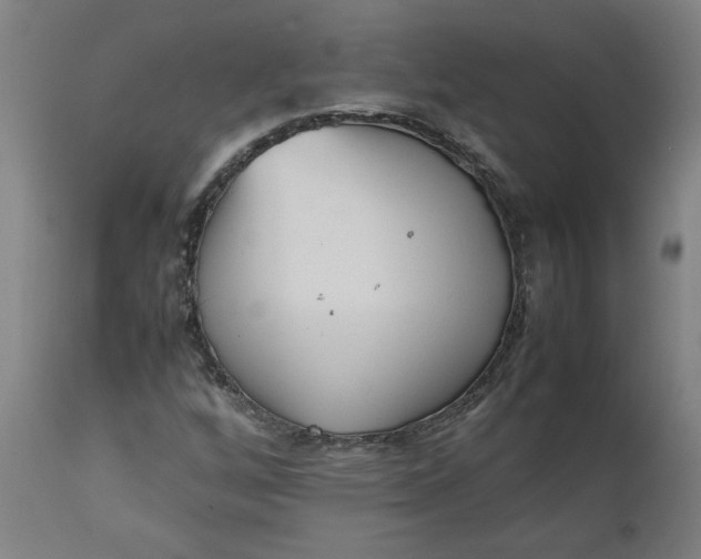 X0000112511256200909071300