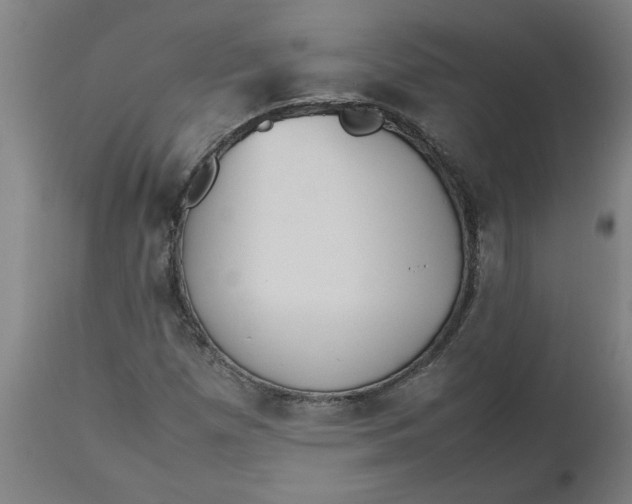 X0000112511257200909071300