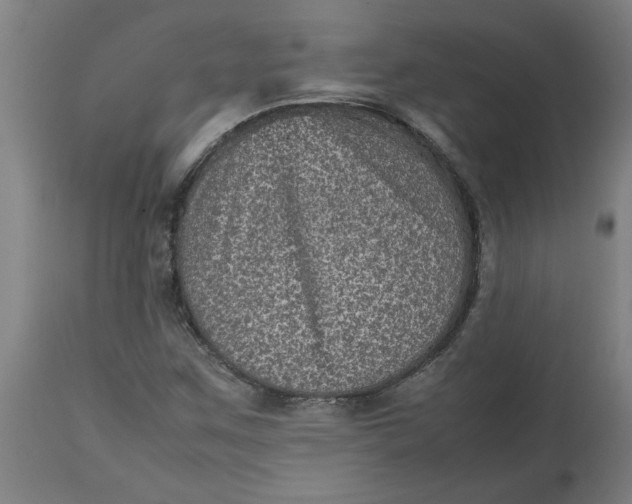 X0000112511259200909071300