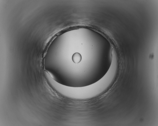 X0000112511260200909071300