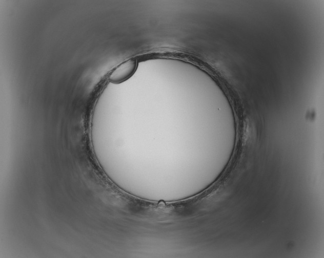 X0000112511261200909071300