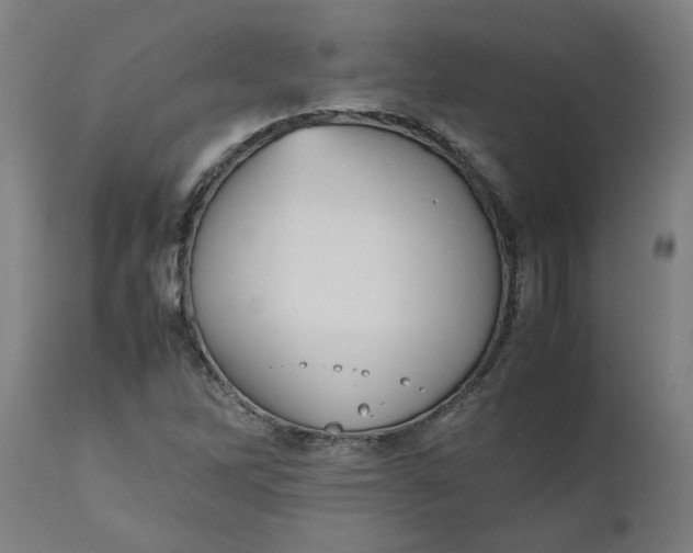 X0000112511262200909071300