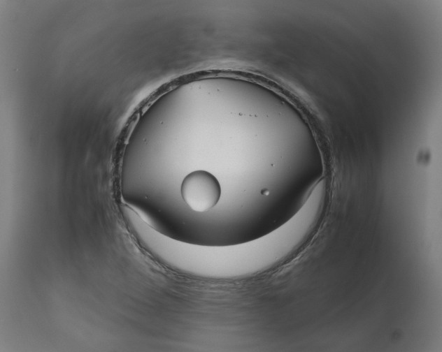 X0000112511264200909071300