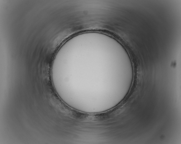 X0000112511265200909071300