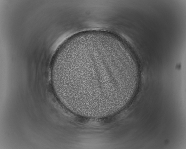 X0000112511267200909071300