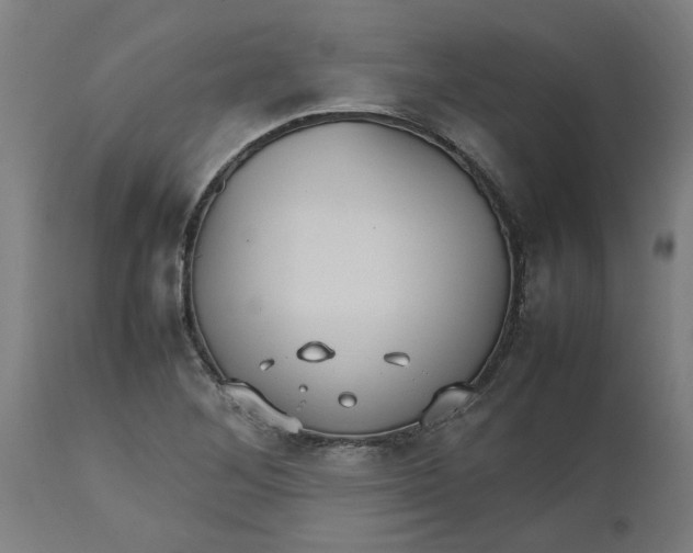 X0000112511268200909071300