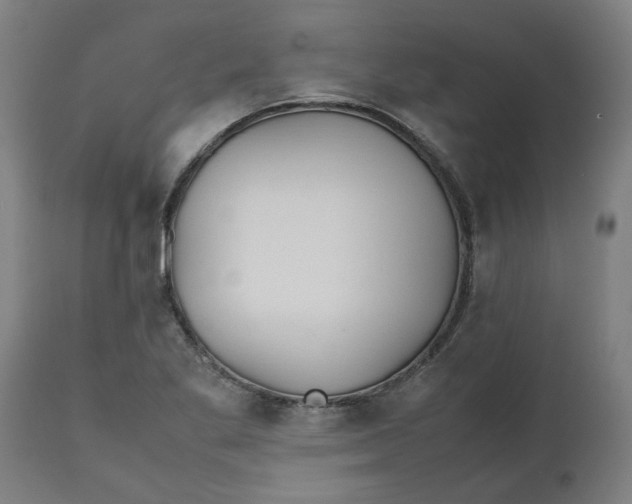 X0000112511269200909071300