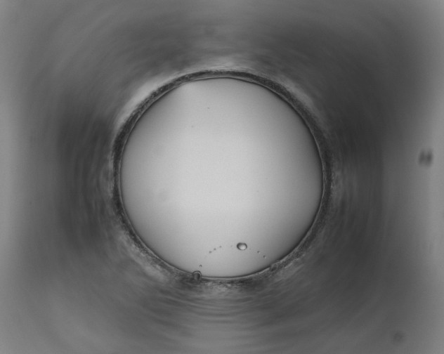 X0000112511270200909071300