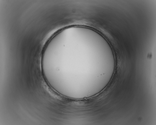 X0000112511272200909071300