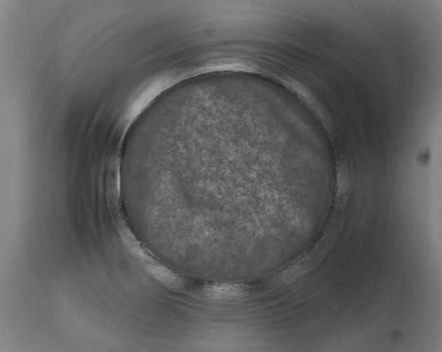 X0000112511274200909071300