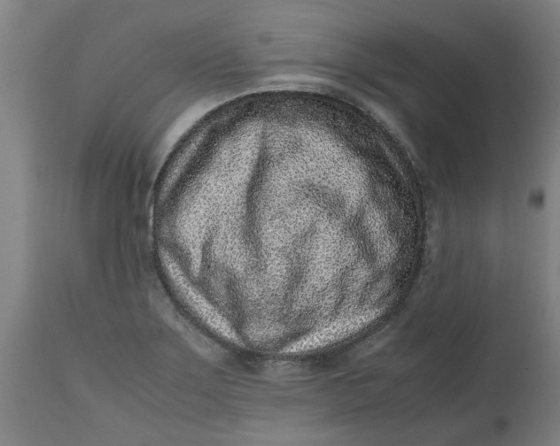 X0000112511275200909071300