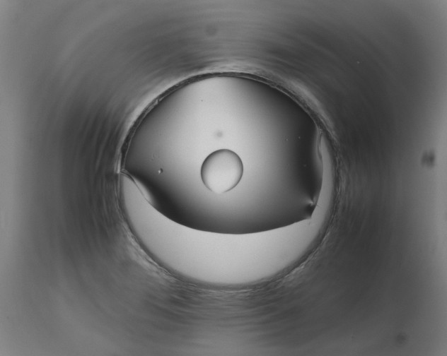 X0000112511276200909071300