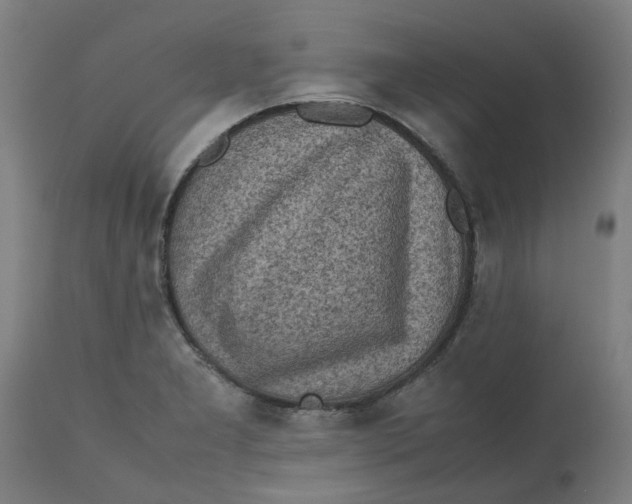 X0000112511277200909071300