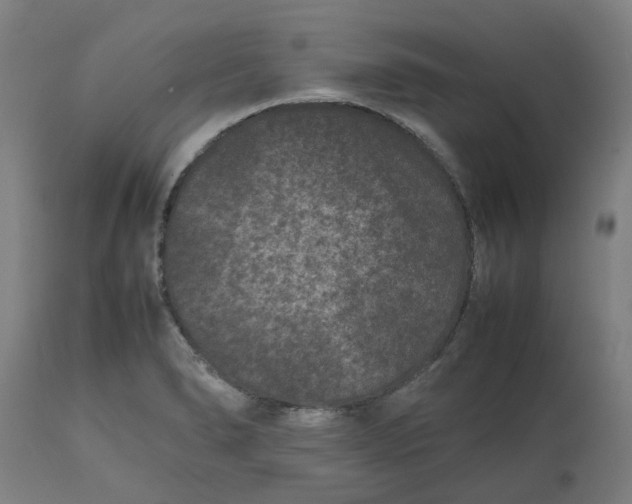 X0000112511278200909071300