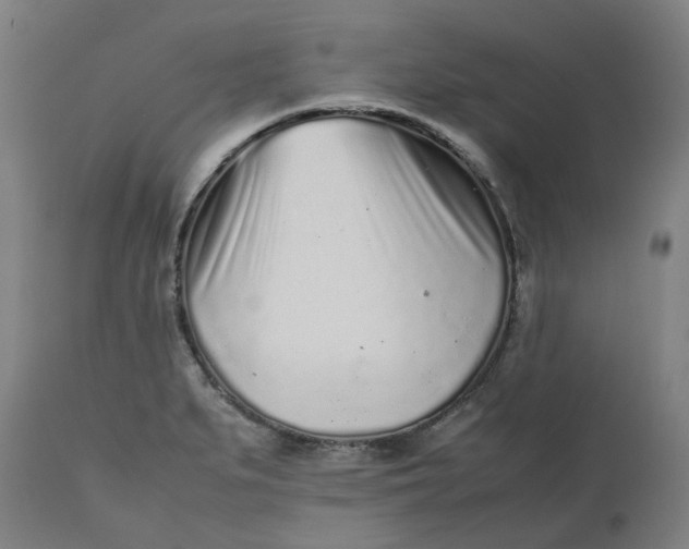 X0000112511279200909071300