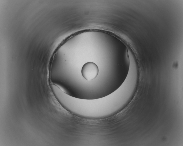 X0000112511280200909071300