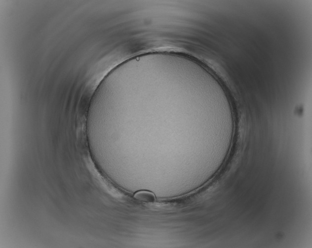 X0000112511281200909071300