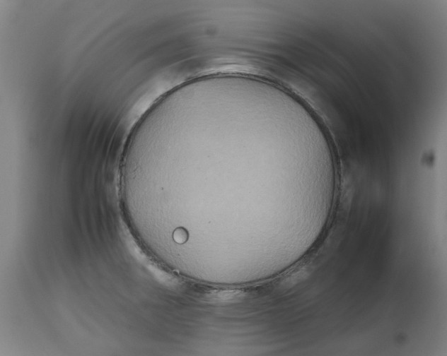 X0000112511282200909071300