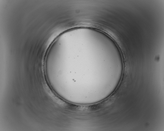 X0000112511283200909071259