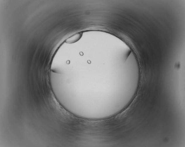 X0000112511284200909071259