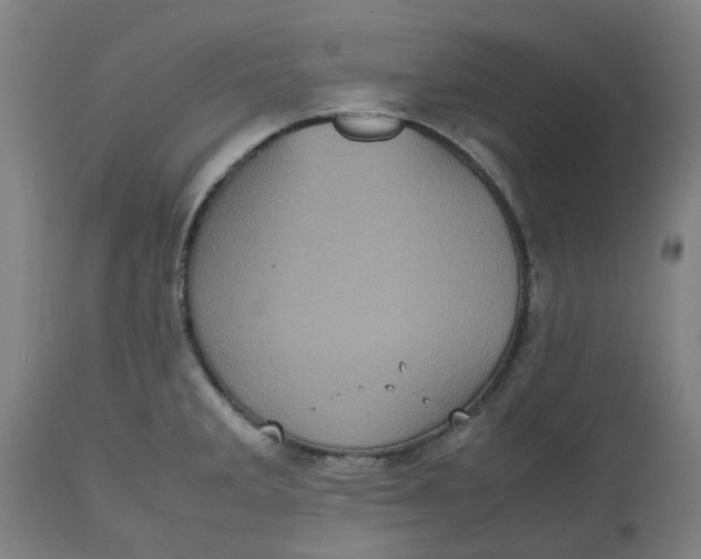 X0000112511285200909071259