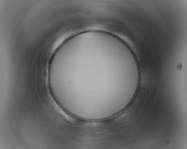 X0000112511286200909071259