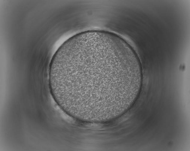 X0000112511287200909071259