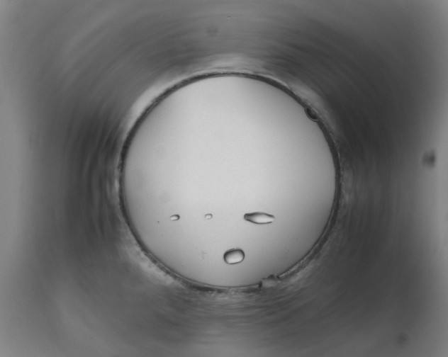 X0000112511288200909071259