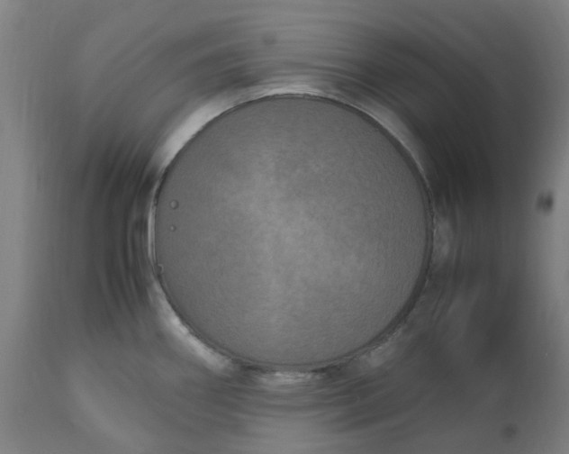 X0000112511290200909071259