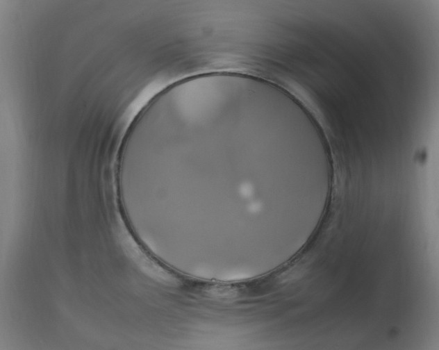 X0000112511291200909071259