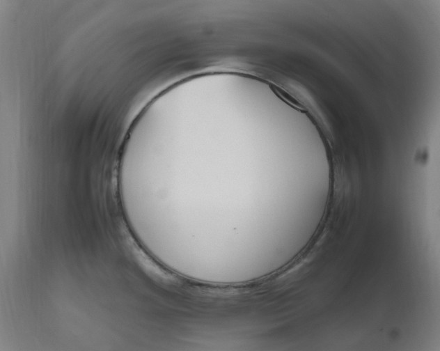 X0000112511292200909071259