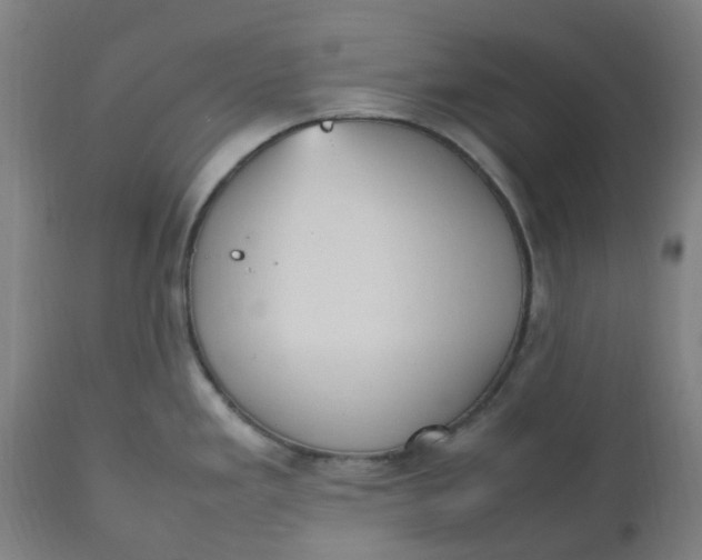 X0000112511293200909071259