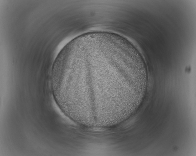 X0000112511295200909071259