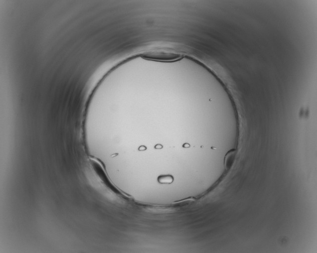 X0000112511296200909071259