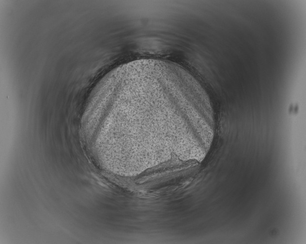 X0000112511297200909071259