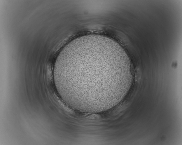 X0000112511298200909071259