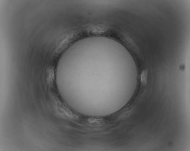 X0000112511299200909071259