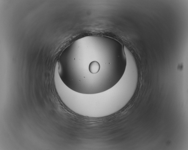 X0000112511300200909071259